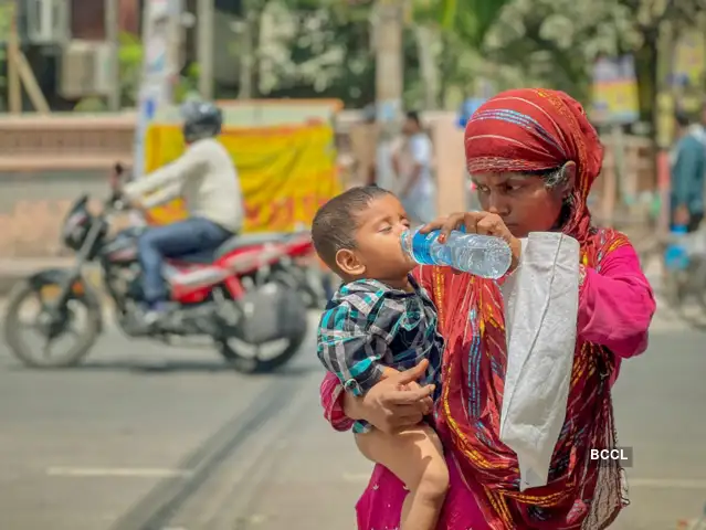 Severe Heatwave Grips North India: Precautions, Impact, and What Lies Ahead