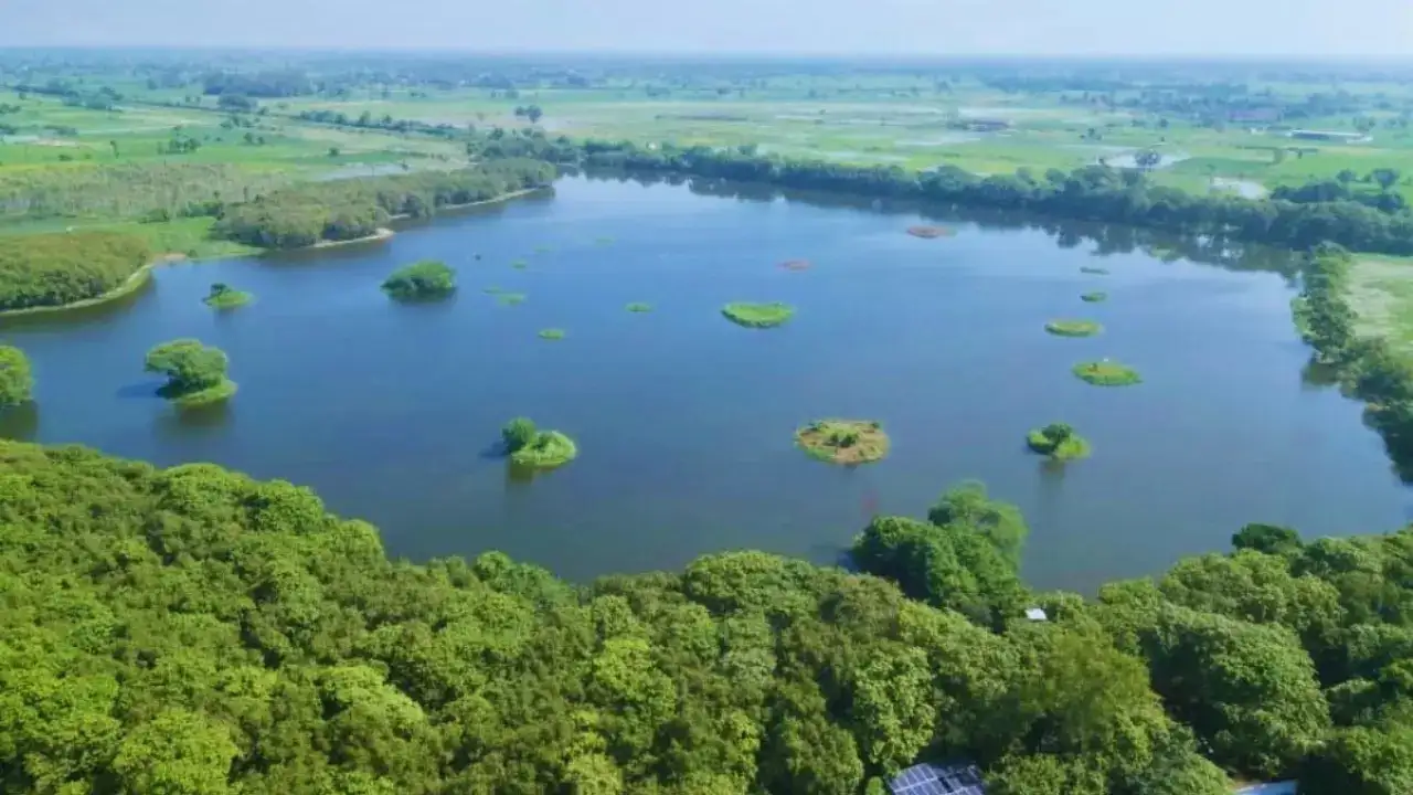 Shekha Jheel Bird Sanctuary Declared India’s 99th Ramsar Site: A Landmark for Wetland Conservation