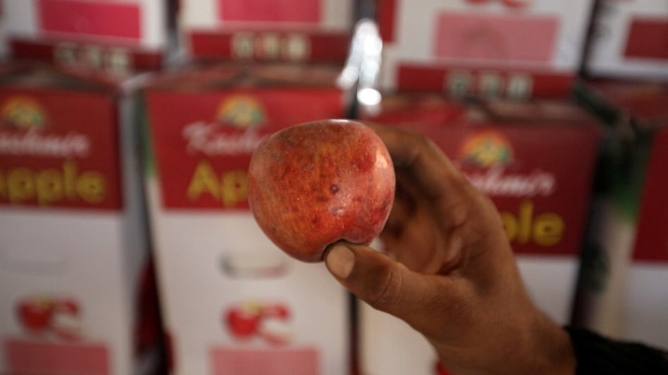 Himachal’s ₹5,000-Crore Apple Economy Faces Crisis as Erratic Weather Threatens Harvest