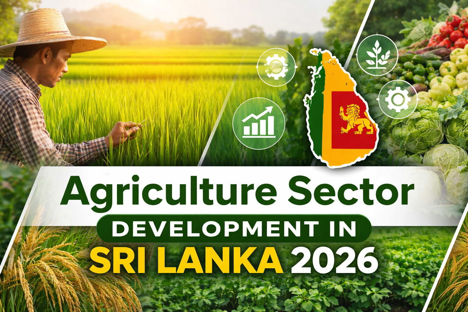Sri Lanka's Agricultural Transformation: A Roadmap to Sector Development by 2026