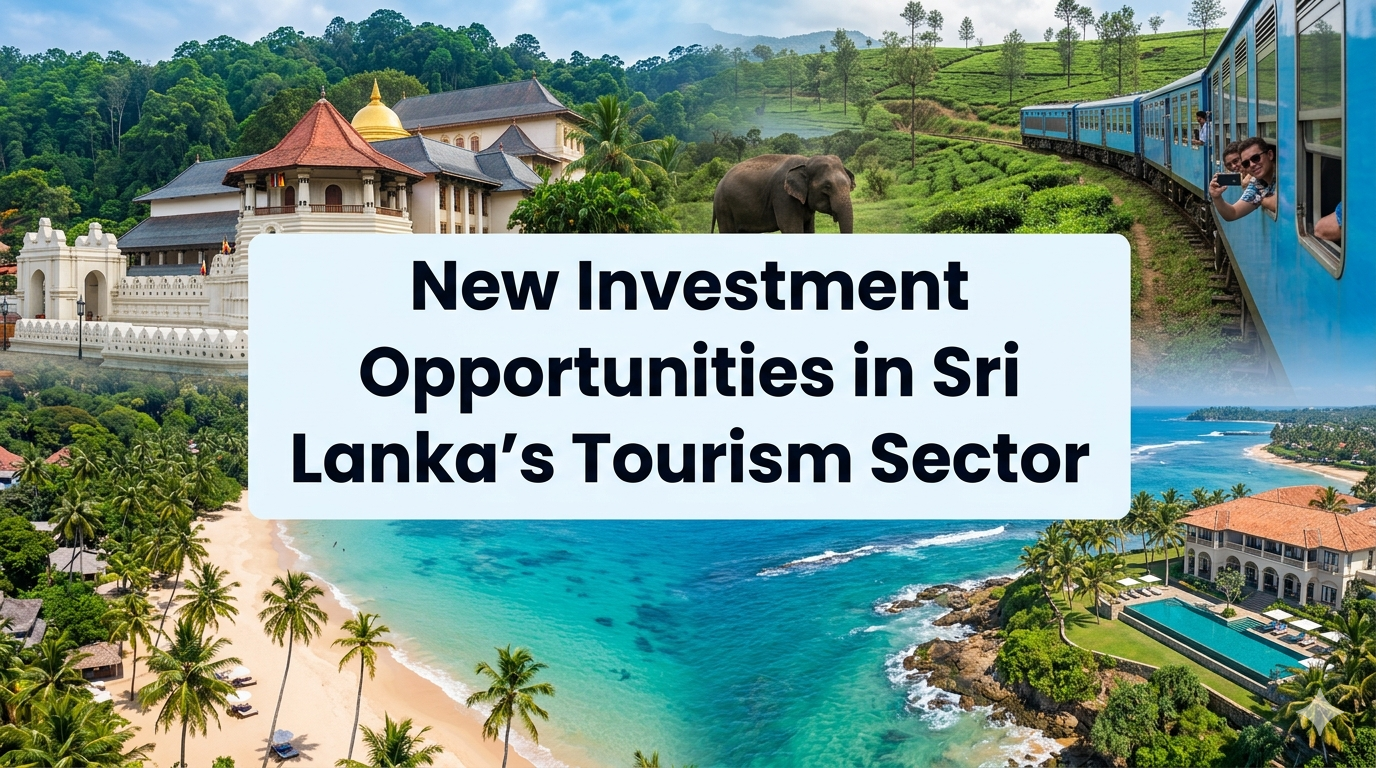Unlocking Potential: New Investment Opportunities in Sri Lanka’s Resilient Tourism Sector