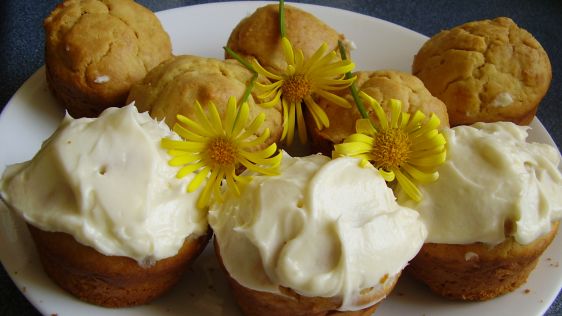 Yellow Sour Cream Cupcakes recipe