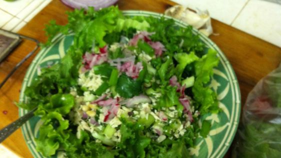 Larb recipe