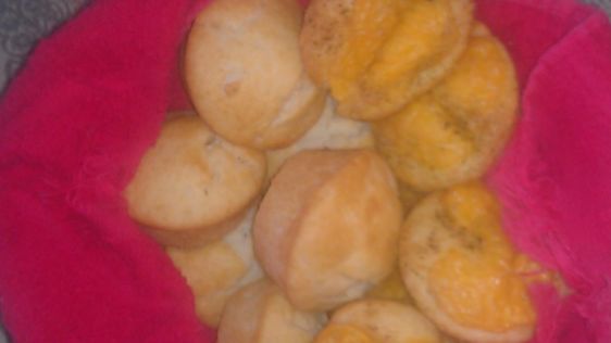 Bubba's Beer Biscuits recipe