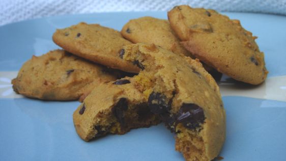 Pumpkin Chocolate Chip Cookies recipe