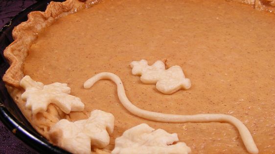 Perfect Pumpkin Pie recipe