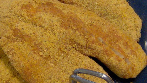 Fried Cornmeal Crusted Catfish recipe