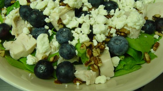 Blueberry Spinach Salad With Chicken Pecans And Bleu Cheese recipe