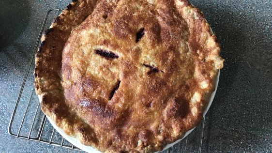 Saskatoon Pie recipe