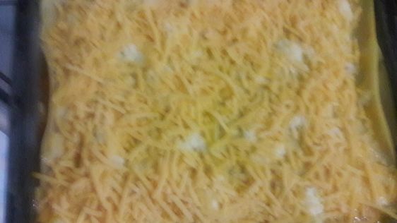 Tuna Lasagna recipe