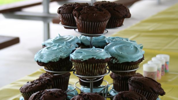Too Much Chocolate Cake recipe
