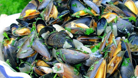 Ahoy There Moules Marinires French Sailor's Mussels recipe