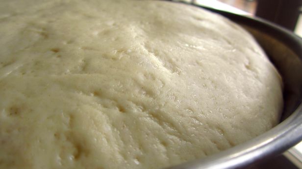 Cuisinart Food Processor Pizza Dough recipe