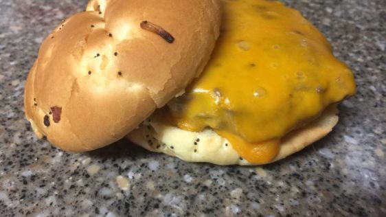 Awesome Steamed Cheeseburgers recipe