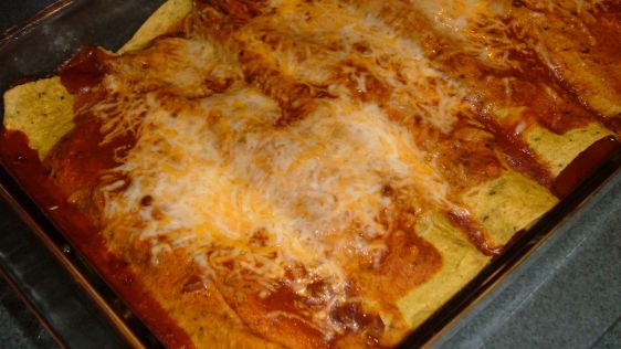 Easy Veggie Enchiladas With Quick Sauce recipe
