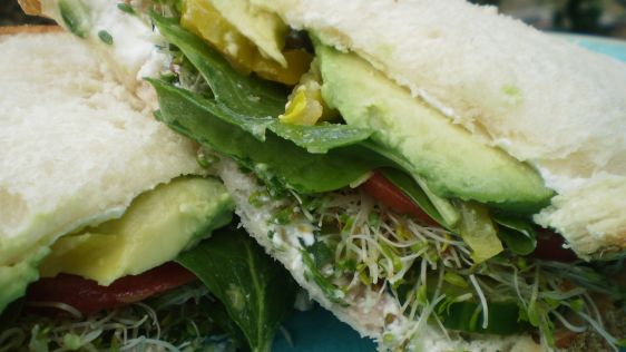 Veggies Dream Cucumber Sandwich recipe