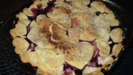 Martha Stewarts Foolproof Pie Crust recipe