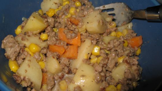 Easy Hamburger Stew recipe