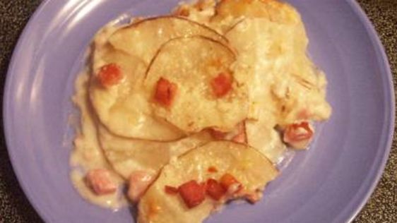 Alfredo Potato Casserole recipe