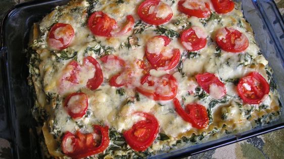 Spanakopita Lasagna recipe