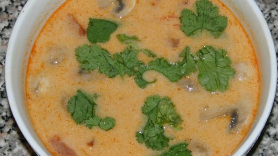 Our Favorite Chicken And Coconut Soup Thai Style recipe
