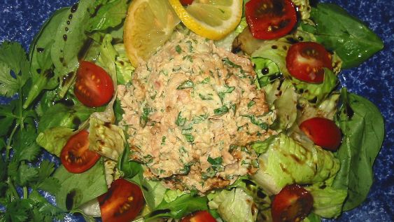 South Beach Style Tuna Salad With Low Fat Cilantro Mayo recipe